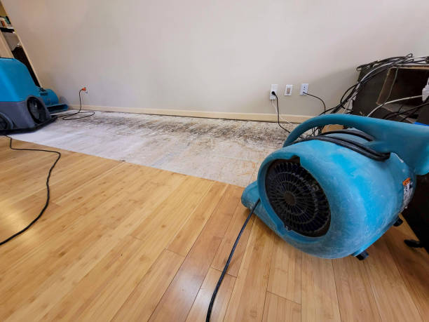 Professional Sewage Cleanup technician working in Mindoro, WI